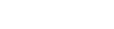 DISHAPAY - powering seamless payments